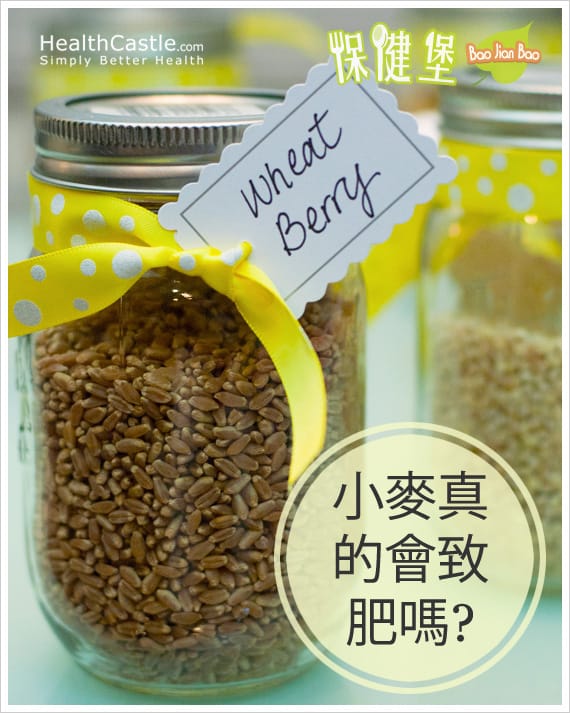 Wheat Berry Poster