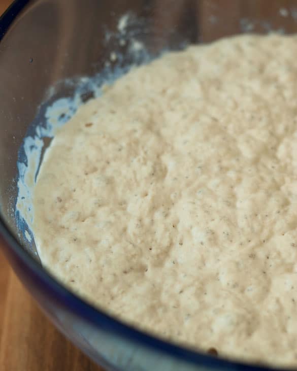 Bread Dough