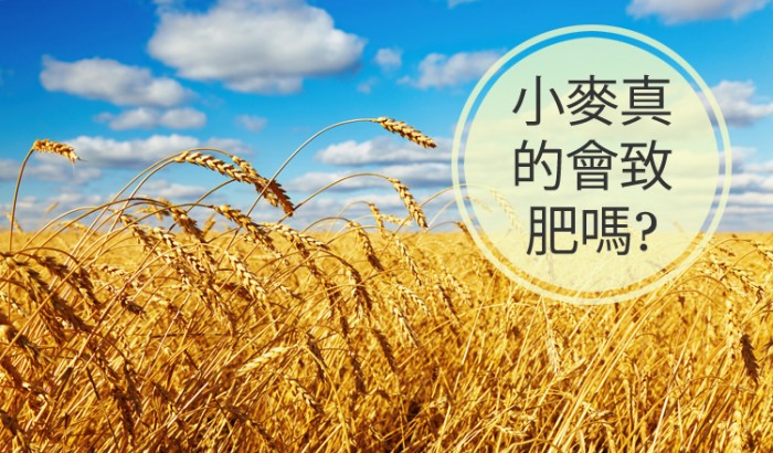 Wheat Field
