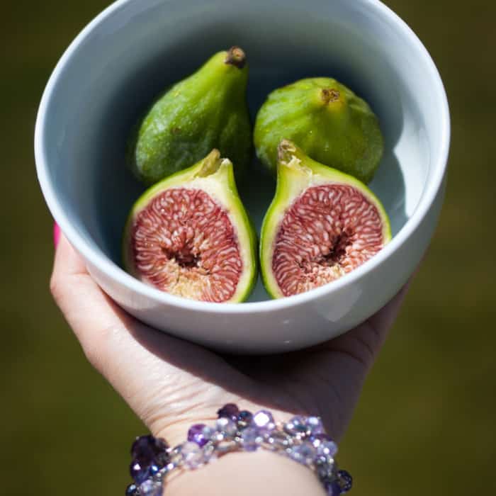 figs-sq