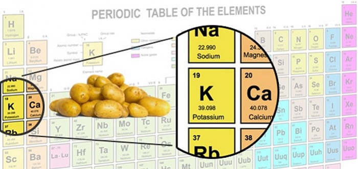 High Potassium Foods